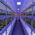 Smart Automatic Aeroponic/Aquaponic Vegetable  Farm-Shipping Container Growing System with PVC Engine & Pump