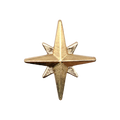 1PCS Gold Metal Shoe Charms New Metal Star Wings Wolf Shoe Buckle Accessories fit Women Men 2025 Trends Shoe Decoration Pin Gift