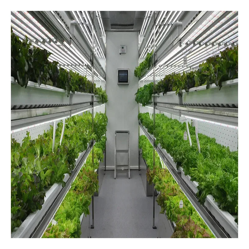 Smart 40 Feet Shipping Lettuce Vegetables Container Farm with Vertical Grow Hydroponic Growing System