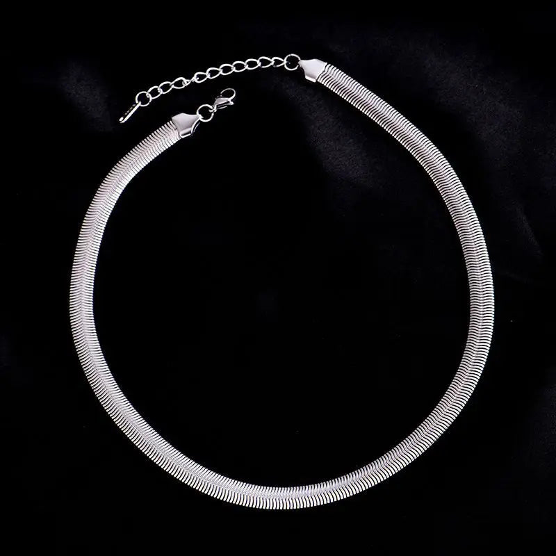 XIYANIKE 316L Stainless Steel Thick Snake Bone Necklace For Women Punk