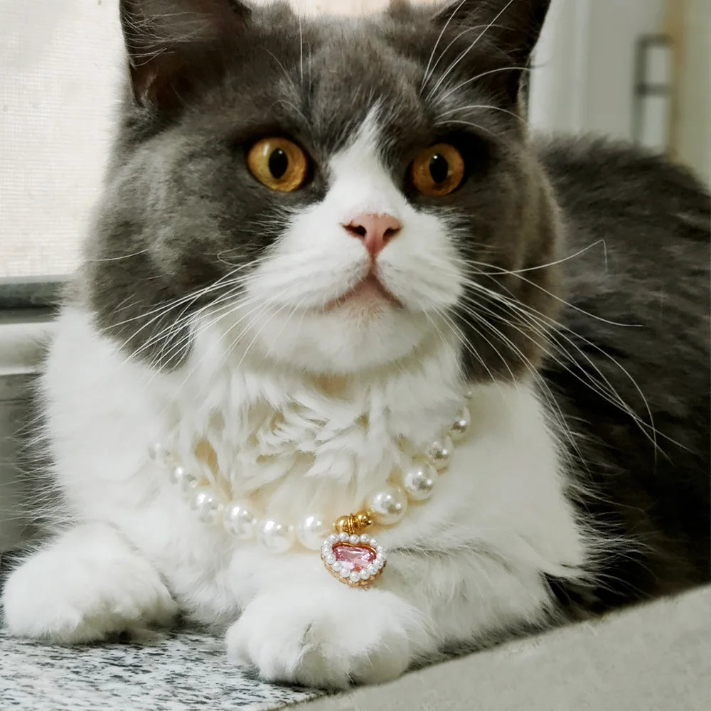 Adjustable Pet Pearl Necklace Accessories for Cats Gotas Animals