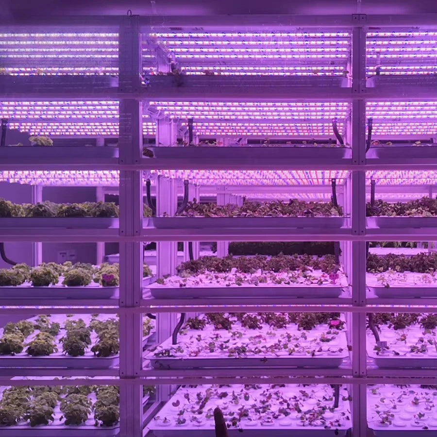 Smart 40 Feet Shipping Lettuce Vegetables Container Farm with Vertical Grow Hydroponic Growing System