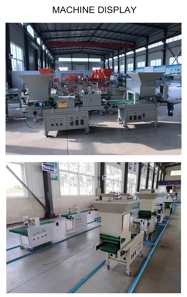 Greenhouse Vegetable Nursery Machinery Full Automatic Tray Seedling Machine Vegetable Seed Plant Machine