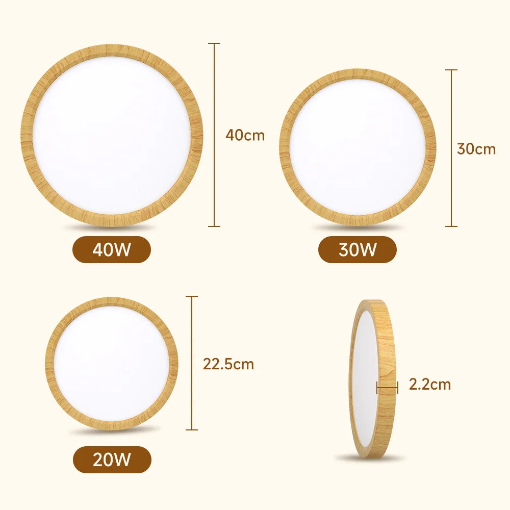 Ultra-thin Led Ceiling Light 220V Bedroom Lamp LED Panel Indoor Lighting for Living Room 3 Colors Adjustments Ceiling Lamp Round